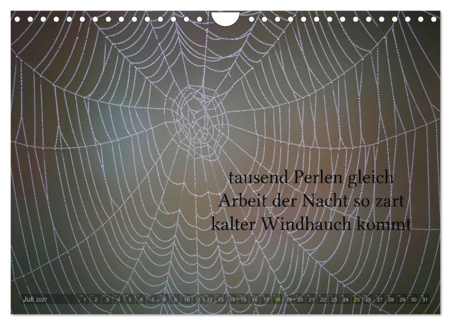 InsideView 12