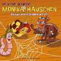 Cover-Bild zum Titel '09: Warum weben Spinnen Netze?' von 'Die Kleine Schnecke Monika Häuschen'