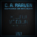 Cover-Bild zum Titel 'Follow me down' von 'C. A. Raaven'