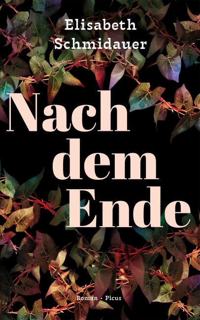 Nach dem Ende - Elisabeth Schmidauer