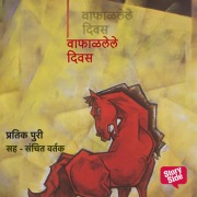 Cover-Bild zum Titel 'Vafallele Diwas' von 'Pratik Puri'