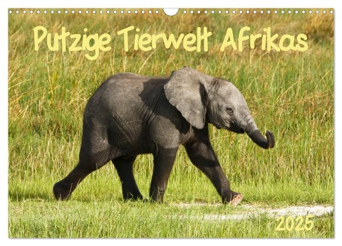 Putzige Tierwelt Afrikas (Wandkalender 2025 DIN A3 quer), CALVENDO Monatskalender - Nadine Haase