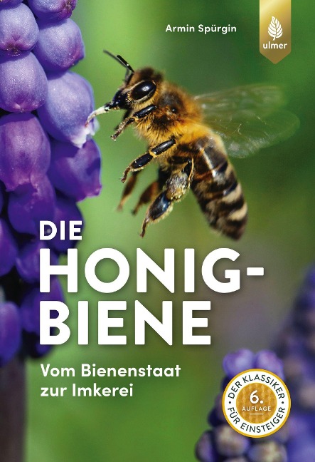 Die Honigbiene - Armin Spürgin