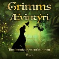Cover-Bild zum Titel 'Hundurinn og grátittlingurinn' von 'Grimmsbræður'