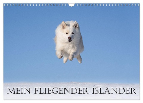 Mein fliegender Isländer (Wandkalender 2024 DIN A3 quer), CALVENDO Monatskalender - Monika Scheurer