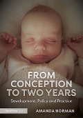 Cover-Bild zum Titel 'From Conception to Two Years' von 'Amanda Norman'