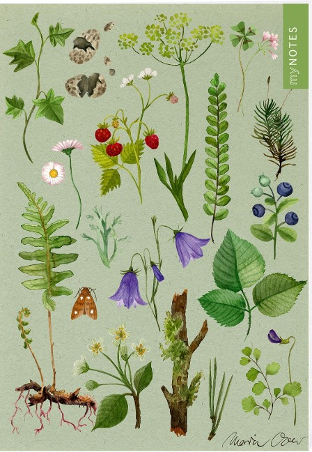 myNOTES Papeterie: Notizheft Naturschätze - 