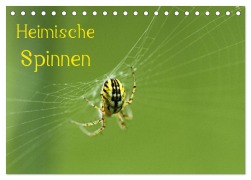 Heimische Spinnen (Tischkalender 2026 DIN A5 quer), CALVENDO Monatskalender - Otto Schäfer