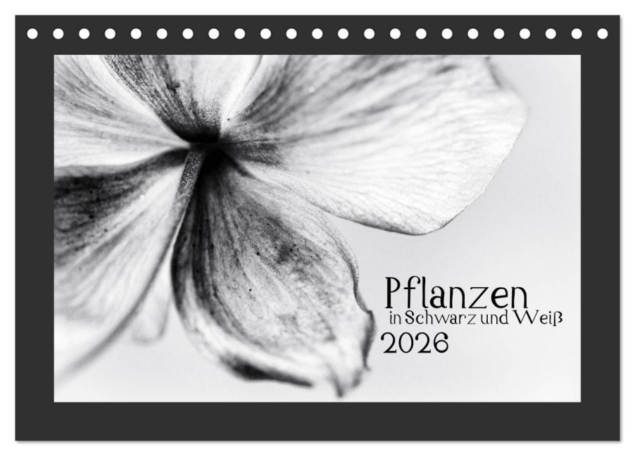 Pflanzen in Schwarz und Weiß (Tischkalender 2026 DIN A5 quer), CALVENDO Monatskalender - Kirsten Karius