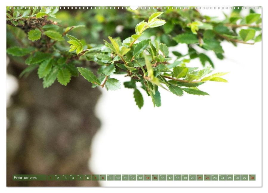 InsideView 7