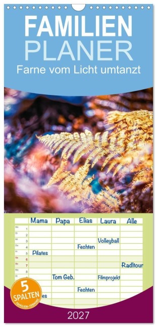 Familienplaner 2027 - Farne vom Licht umtanzt mit 5 Spalten (Wandkalender, 21 x 45 cm) CALVENDO - Nicc Koch