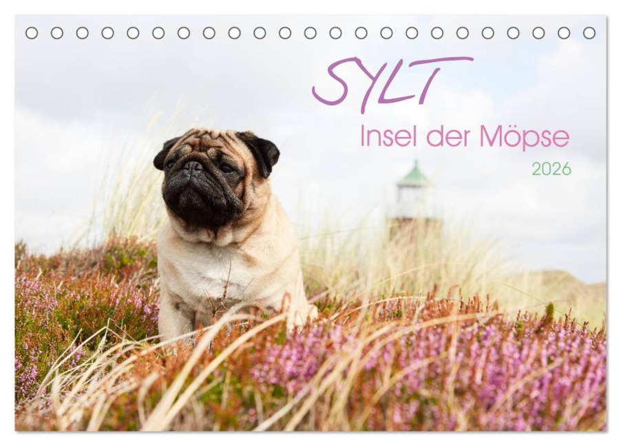 Sylt - Insel der Möpse (Tischkalender 2026 DIN A5 quer), CALVENDO Monatskalender - Ole Dodeck