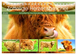 Cover-Bild zum Titel 'Zottelige Herzensbrecher. Schottische Hochlandrinder zum Verlieben (Tischkalender 2026 DIN A5 quer), CALVENDO Monatskalender' von 'Rose Hurley'
