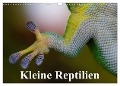 Kleine Reptilien (Wandkalender 2024 DIN A3 quer), CALVENDO Monatskalender - Elisabeth Stanzer