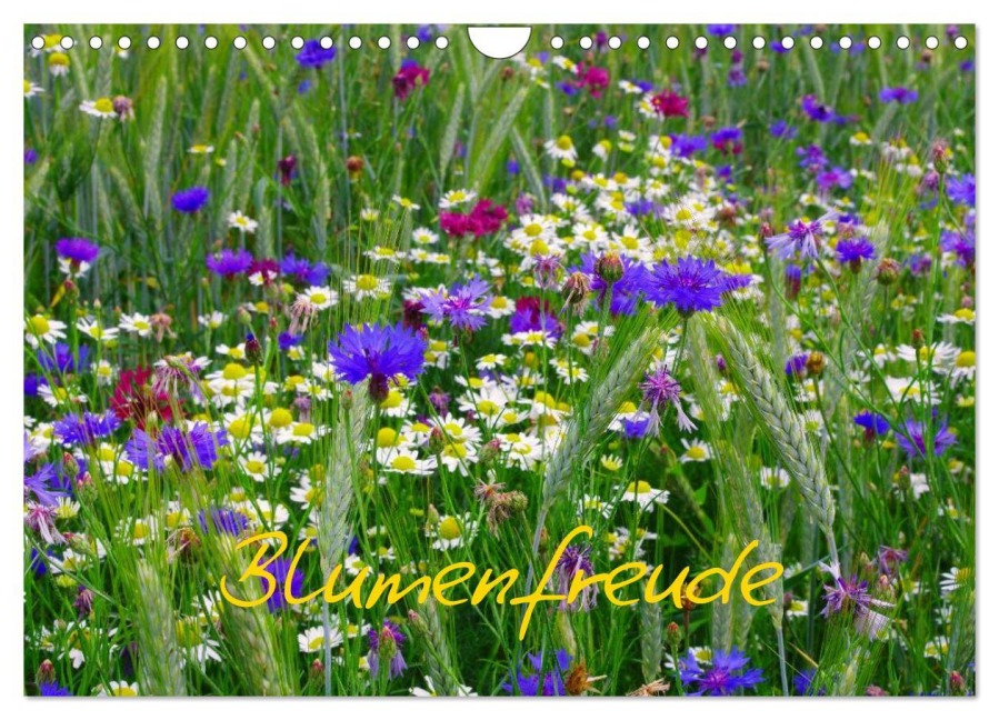Blumenfreude (Wandkalender 2026 DIN A4 quer), CALVENDO Monatskalender - Avianaarts Design Fotografie By Tanja Riedel