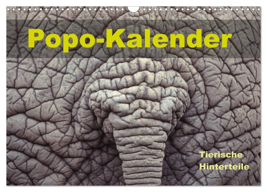 Popo-Kalender (Wandkalender 2026 DIN A3 quer), CALVENDO Monatskalender - Carola Vahldiek