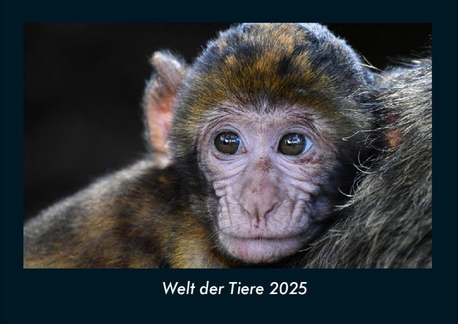 Welt der Tiere 2025 Fotokalender DIN A4 - Tobias Becker
