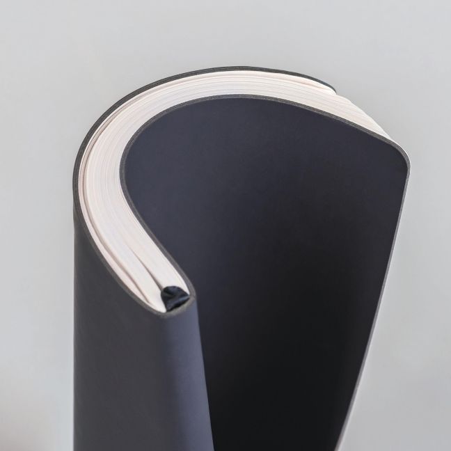 InsideView 2
