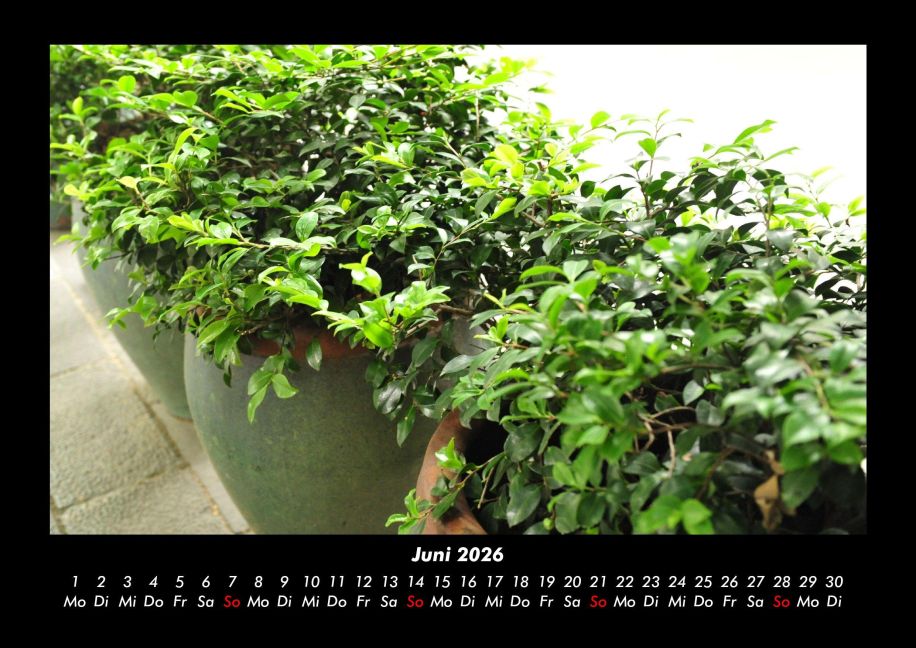 InsideView 10