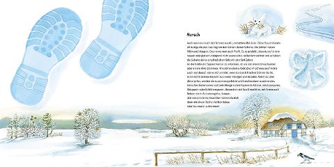 InsideView 5