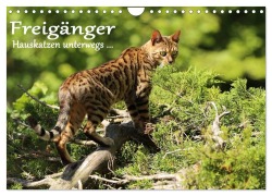 Cover-Bild zum Titel 'Freigänger - Hauskatzen unterwegs (Wandkalender 2026 DIN A4 quer), CALVENDO Monatskalender' von 'Werner Schmäing'