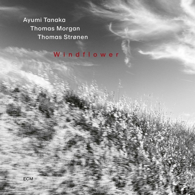 Windflower - Ayumi Tanaka, Thomas Morgan, Thomas Strønen