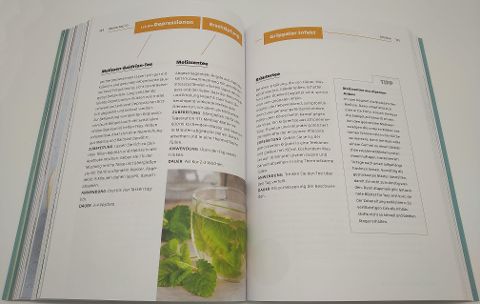 InsideView 8