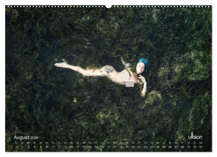 InsideView 13