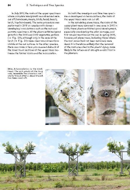 InsideView 4