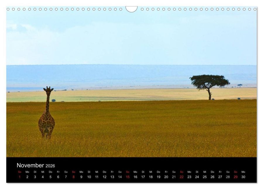 InsideView 3