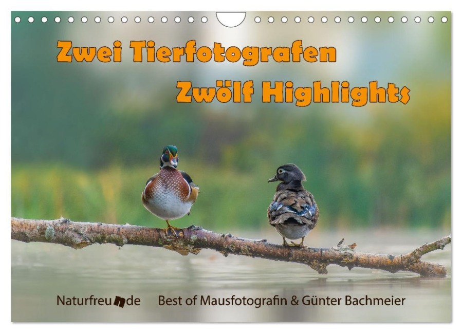 Zwei Tierfotografen Zwölf Highlights (Wandkalender 2026 DIN A4 quer), CALVENDO Monatskalender - Jennifer Hetzel & Günter Bachmeier