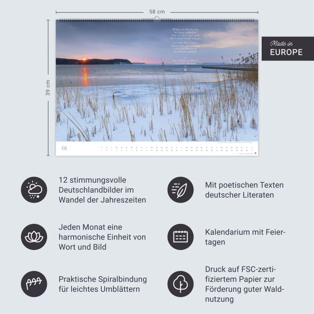 InsideView 13