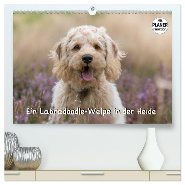 Ein Labradoodle-Welpe in der Heide (hochwertiger Premium Wandkalender 2026 DIN A2 quer), Kunstdruck in Hochglanz - Sonja Teßen