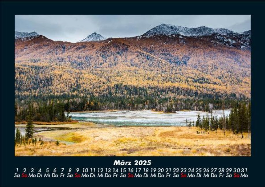 InsideView 7