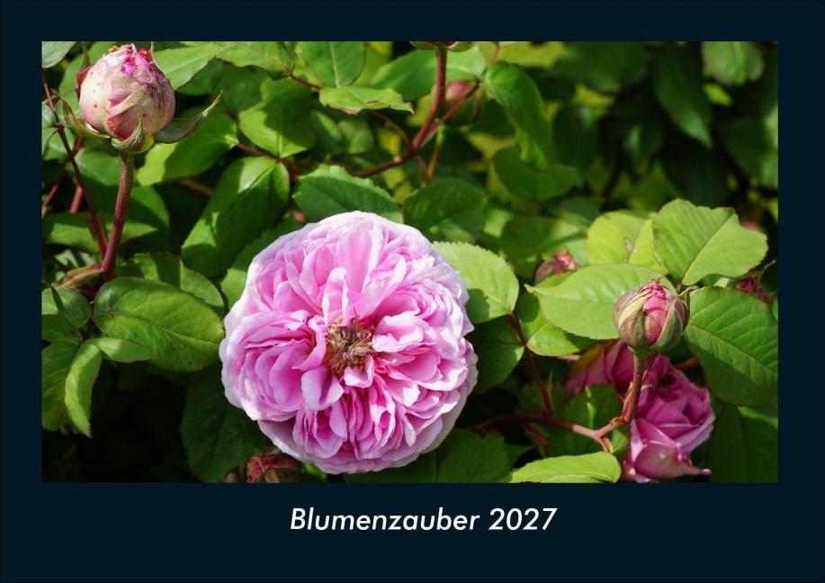 Blumenzauber 2027 Fotokalender DIN A4 - Tobias Schmitt, Kevin Heber