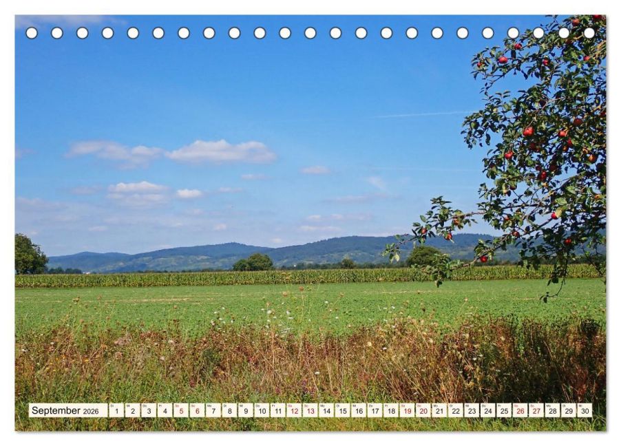 InsideView 14
