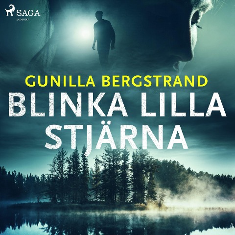 Blinka lilla stjärna - Gunilla Bergstrand