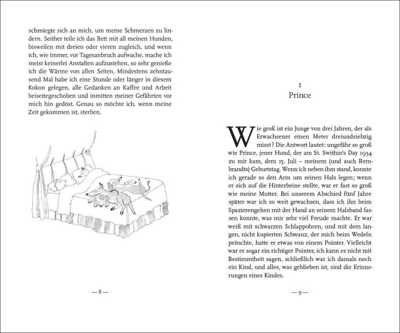 InsideView 2
