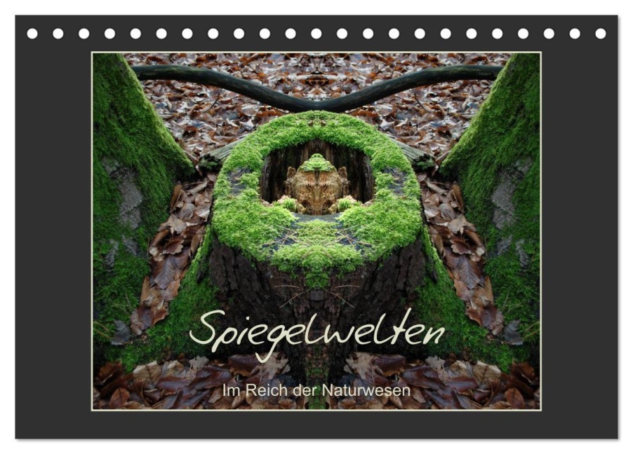 Spiegelwelten - Im Reich der Naturwesen (Tischkalender 2026 DIN A5 quer), CALVENDO Monatskalender - Katharina Hubner