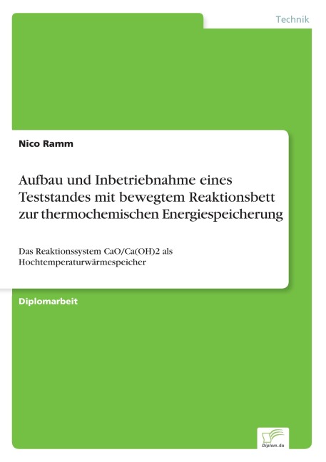 Aufbau und Inbetriebnahme eines Teststandes mit bewegtem Reaktionsbett zur thermochemischen Energiespeicherung - Nico Ramm