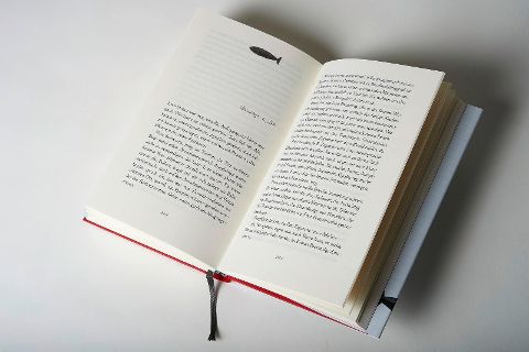 InsideView 3