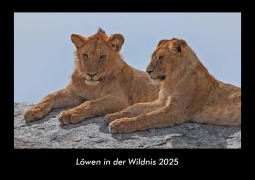 Cover-Bild zum Titel 'Löwen in der Wildnis 2025 Fotokalender DIN A3' von 'Tobias Becker'
