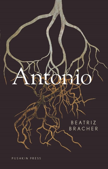 Antonio - Beatriz Bracher