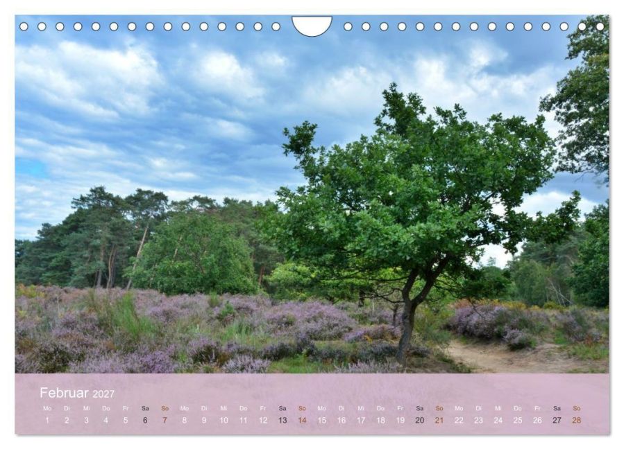 InsideView 7