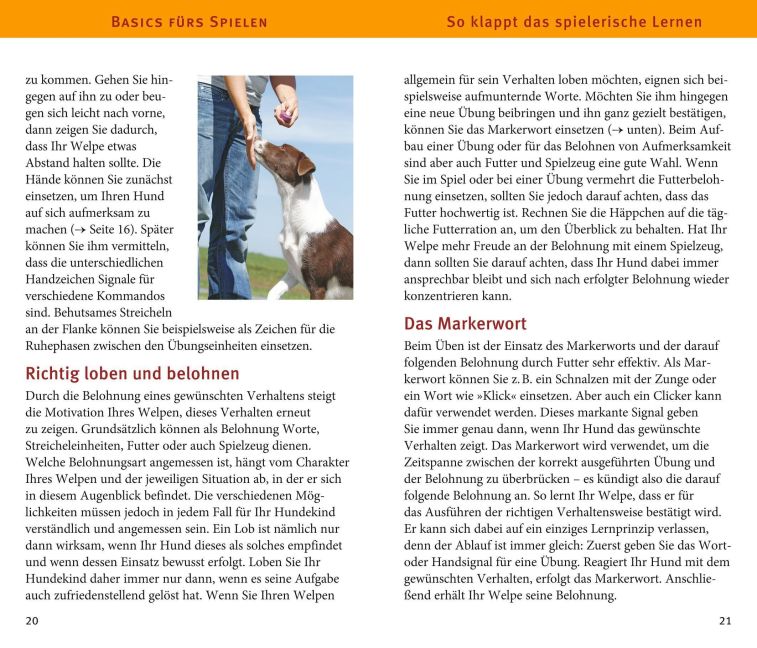InsideView 5