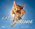 Katzensprünge - Seth Casteel