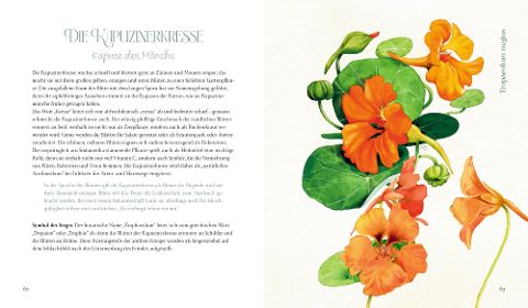 InsideView 10