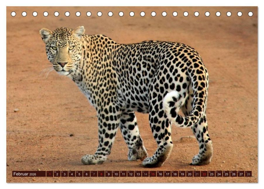InsideView 7