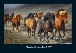 Cover-Bild zum Titel 'Pferde Kalender 2025 Fotokalender DIN A4' von 'Tobias Becker'