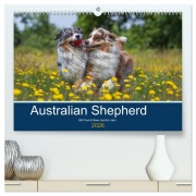 Cover-Bild zum Titel 'Australian Shepherd 2026 (hochwertiger Premium Wandkalender 2026 DIN A2 quer), Kunstdruck in Hochglanz' von 'Annett Mirsberger'